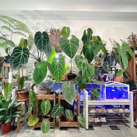Home In 타이난 외부 사진